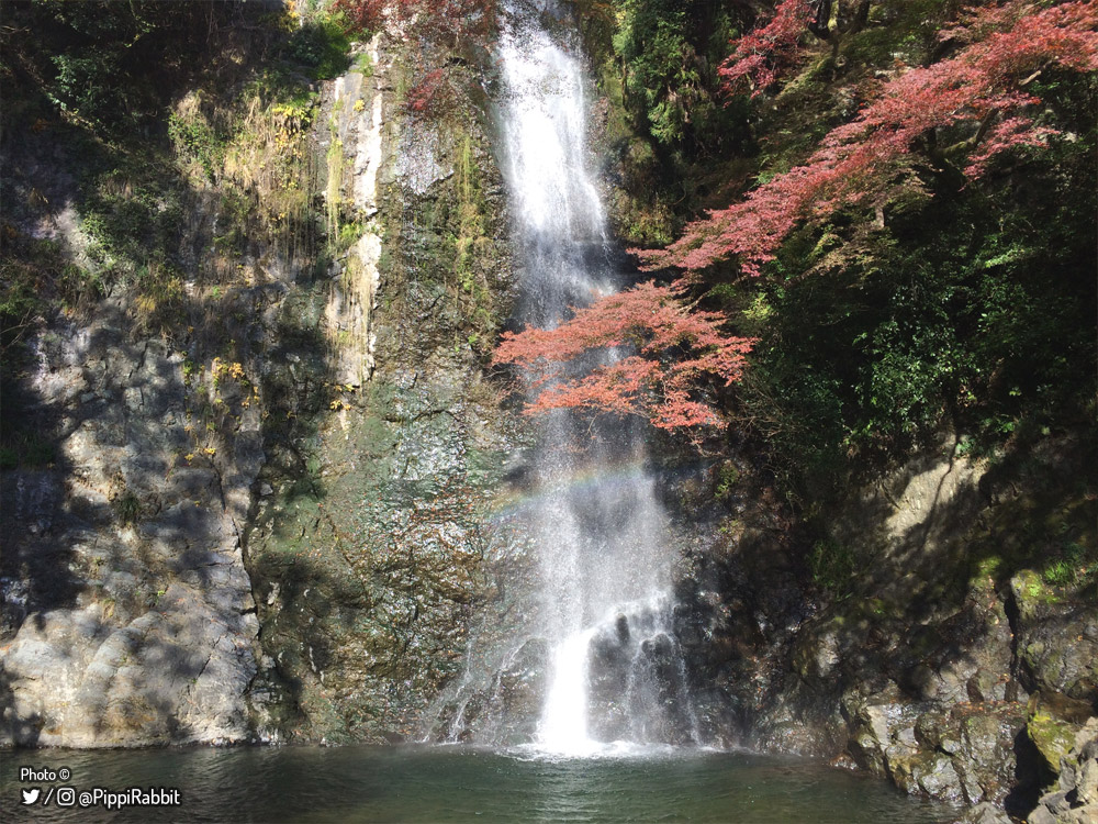 momogusa×mina perhonen waterfall mina perhonen 『waterfall』 スカート ボトムス ミナペルホネン